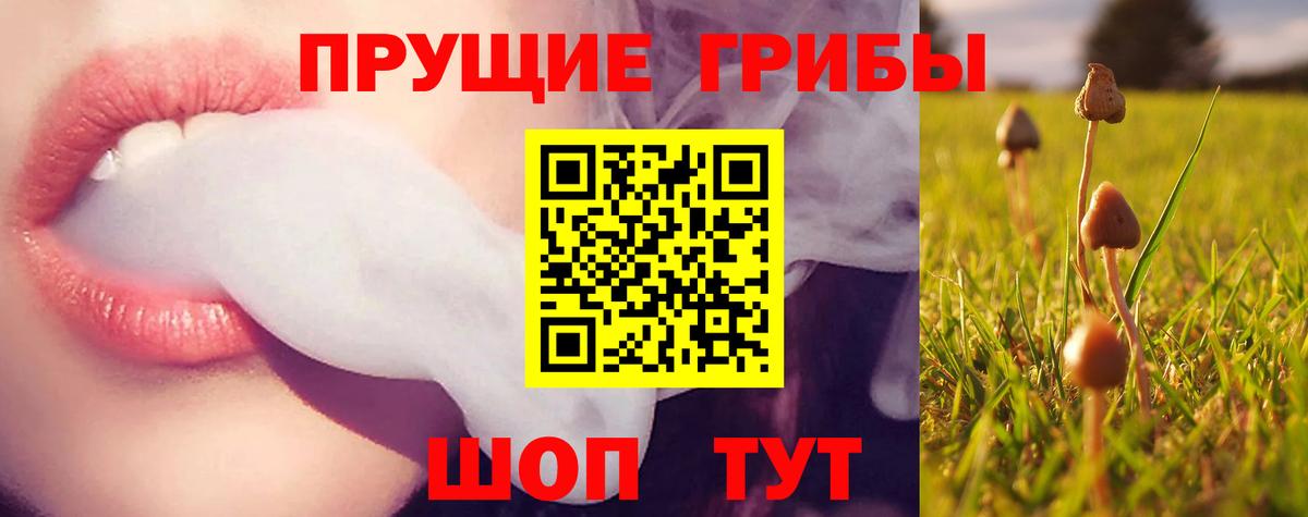 Галлюциногенные грибы Magic Shrooms Уссурийск